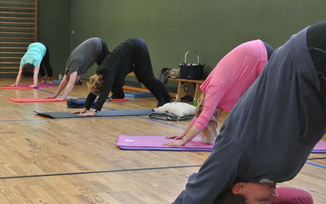 Hatha-Yoga: Nächster Kursbeginn im April 2023